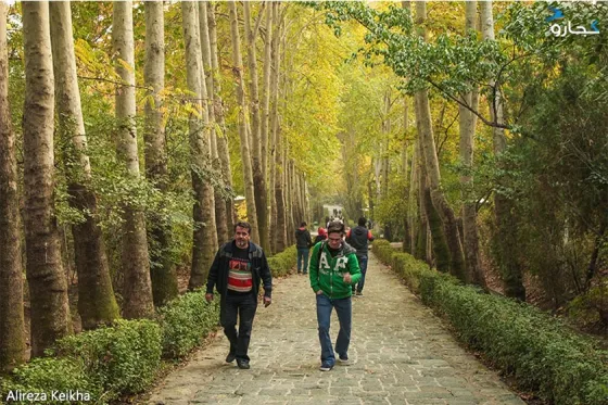 تصویر 91134 پارک جمشیدیه تهران