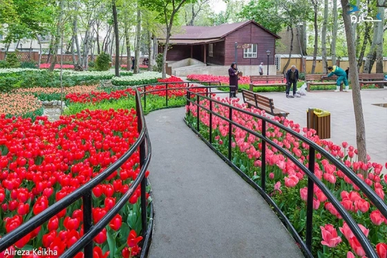 تصویر 91140  باغ ایرانی تهران