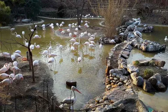 تصویر 91291  باغ پرندگان تهران 
