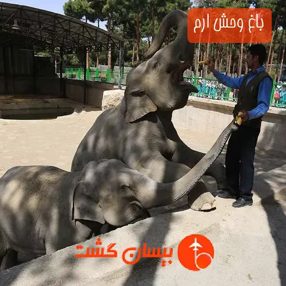 باغ وحش ارم