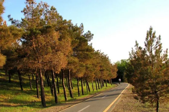 تصویر 91314  پارک چیتگر 