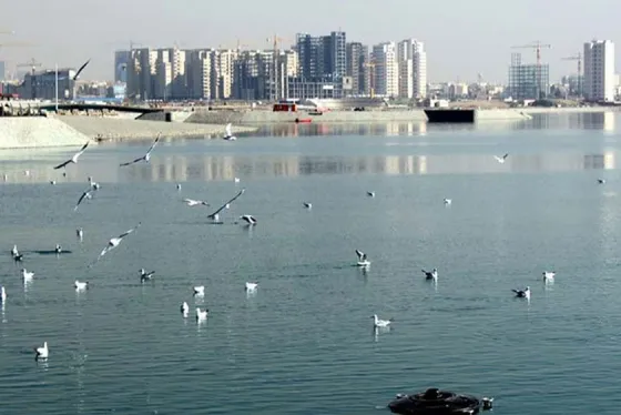 تصویر 91451 دریاچه چیتگر