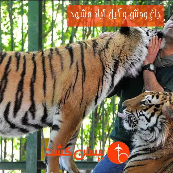 باغ وحش وکیل آباد مشهد