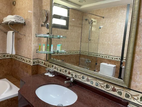 تصویر 196227 فضای اتاق های هتل هاوارد جانسون بر دبی  