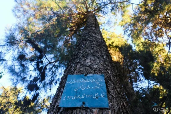 تصویر 91727  موزه پارس شیراز (باغ نظر) 