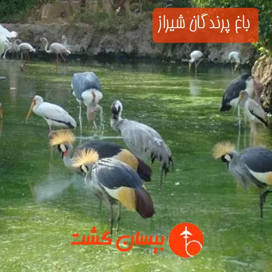باغ پرندگان شیراز