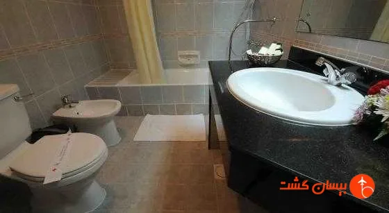 تصویر 45477  هتل آستوریا دبی   