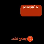 برج کبوتر مرداویج