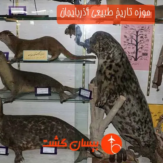 موزه تاریخ طبیعی آذربایجان