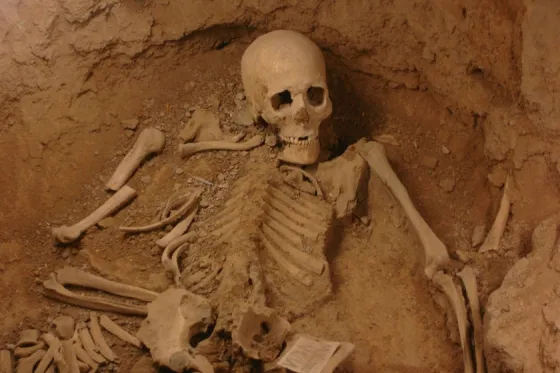 تصویر 92240  موزه عصر آهن تبریز 