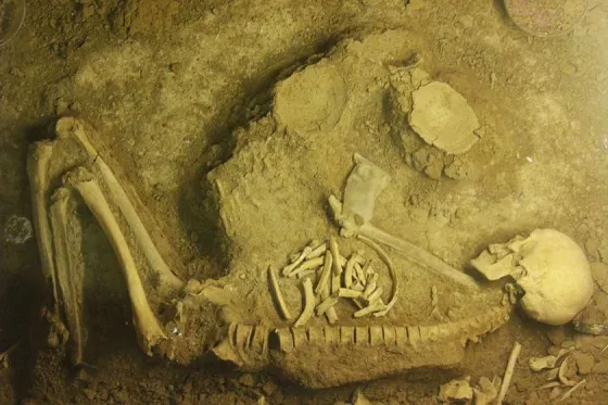 تصویر 92239  موزه عصر آهن تبریز 