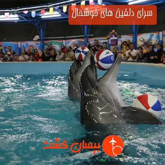 سرای دلفین های خوشحال
