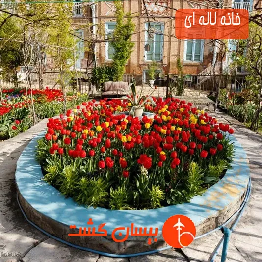 خانه لاله ای 