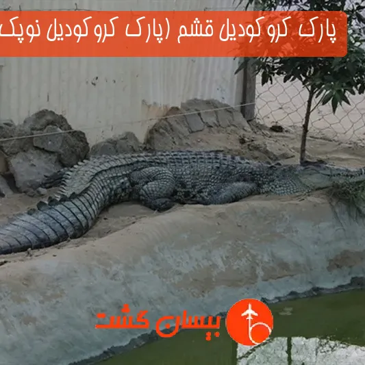 پارک کروکوديل قشم (پارک کروکودیل نوپک قشم)