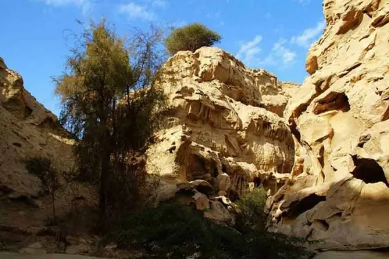 تصویر 92970 تنگه عالی محمد قشم