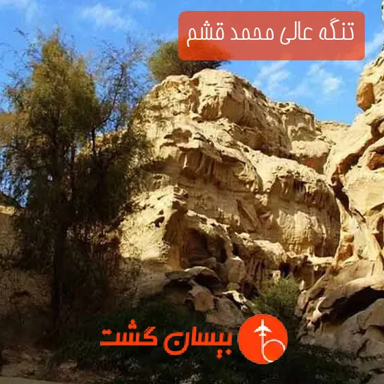 تنگه عالی محمد قشم