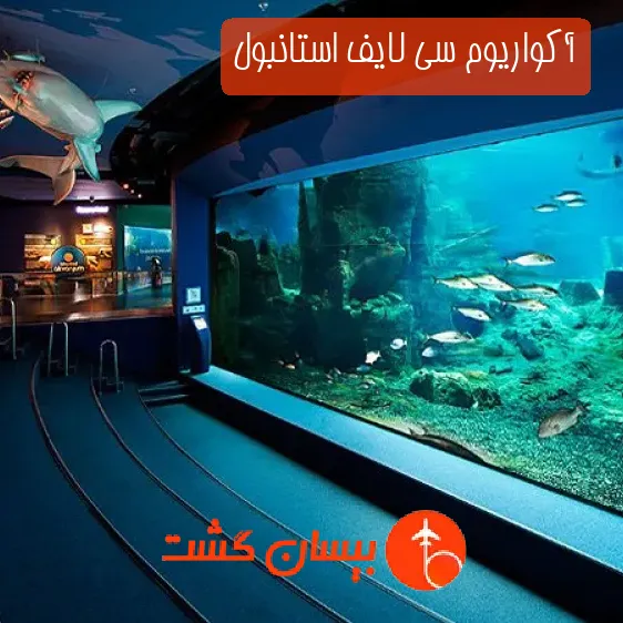 آکواریوم سی لایف استانبول