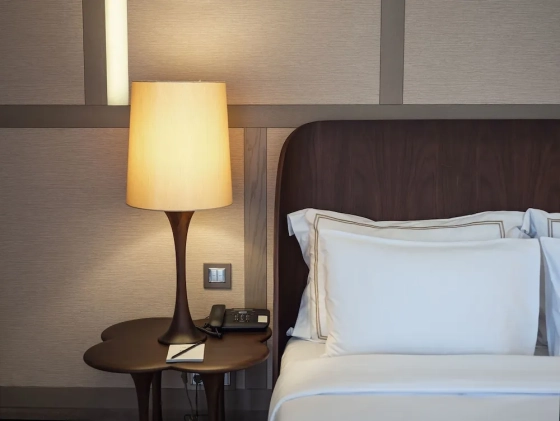 تصویر 101387  هتل د هاوس نشینتاشی استانبول 