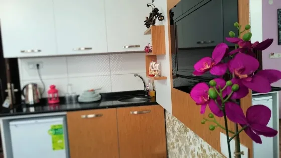 هتل بلو آپارت استانبول - تصویر 22