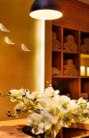 سونا و اسپا هتل هالیدی این کادیکوی استانبول 107004 100