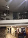 لابی هتل اینرا استانبول 108210 100