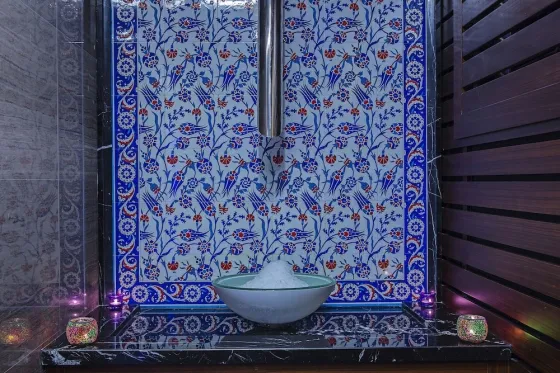 سونا و اسپا هتل اسکالیون استانبول - تصویر 6