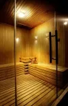 سونا و اسپا هتل تریادا بوتیک رزیدنس استانبول 110993 100