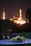 فضای بیرونی هتل درسادت استانبول 111566 100