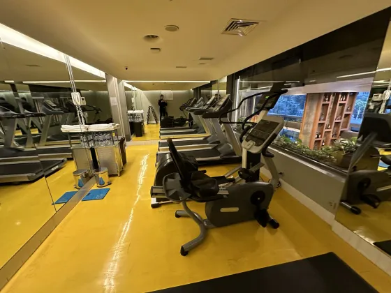 باشگاه ورزشی هتل ستیا شیشلی استانبول 191498