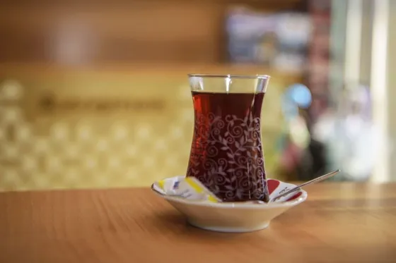 هتل تایا حاتون استانبول - تصویر 44