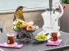 فضای رستورانی و صبحانه هتل آرتیسان ام گالری استانبول 123791 100