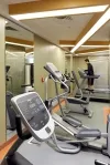 باشگاه ورزشی هتل آرتیسان ام گالری استانبول 123819 100