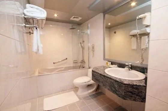 تصویر 196159 فضای اتاق های هتل سان اند سندز داون تاون دبی  