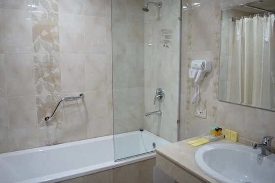 تصویر 130248  هتل آرتساخ ایروان 