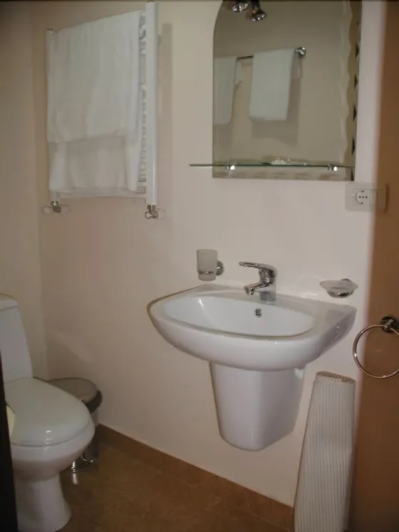 هتل گریگ ایروان - تصویر 21