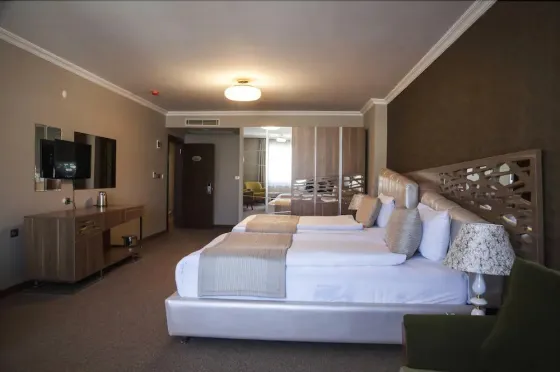 تصویر 131900 فضای اتاق های هتل رویال میلانو وان 