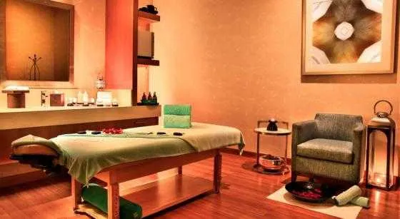 سونا و اسپا هتل سوئیس الغریر دبی 48315