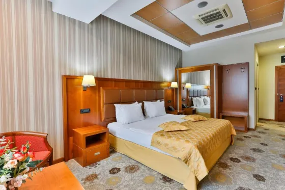 تصویر 196126 فضای اتاق های هتل کینگس پارک هتل دبی 