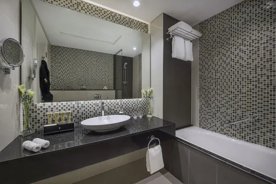 تصویر 140557 هتل داماک مانسون رویال دبی