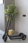 فضای سرگرمی هتل بیچ واک دبی 141175 100