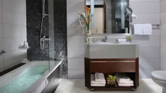 تصویر 141395  هتل آوریس المحنا دبی 