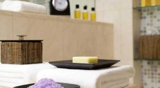 سونا و اسپا هتل حیات ریجنسی منطقه هریتج دبی  48994