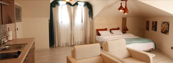 تصویر 143252  هتل زین دی هوم چیکمه کوی استانبول 