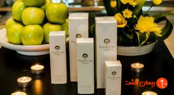 هتل دبی اینترنشنال ترمینال دبی - تصویر 22