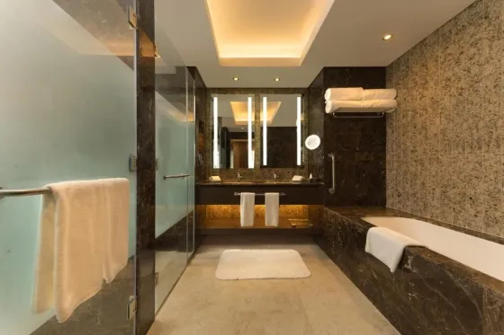 تصویر 146351 هتل دوست دی 2 سالوا دوحه قطر