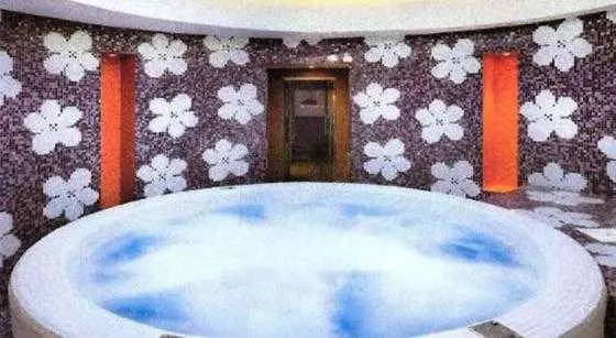 استخر هتل هویس بوتیک دبی 49396