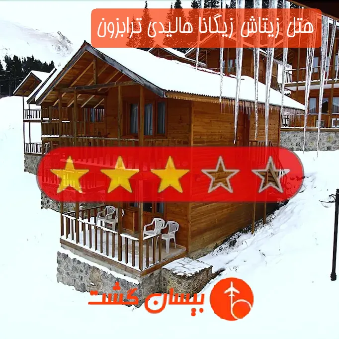 هتل سه ستاره زیتاش زیگانا هالیدی ترابزون