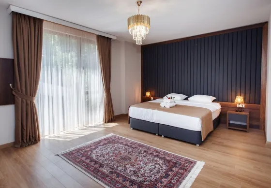 تصویر 150643 هتل آرمونی دلوکس ترابزون