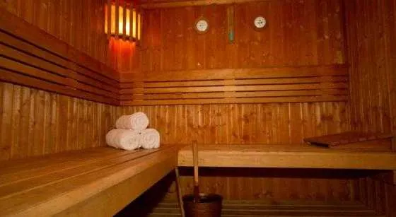 سونا و اسپا هتل  چهار ستاره گولدن تولیپ البرشا دبی 50213