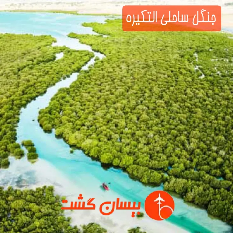 جنگل ساحلی التکیره